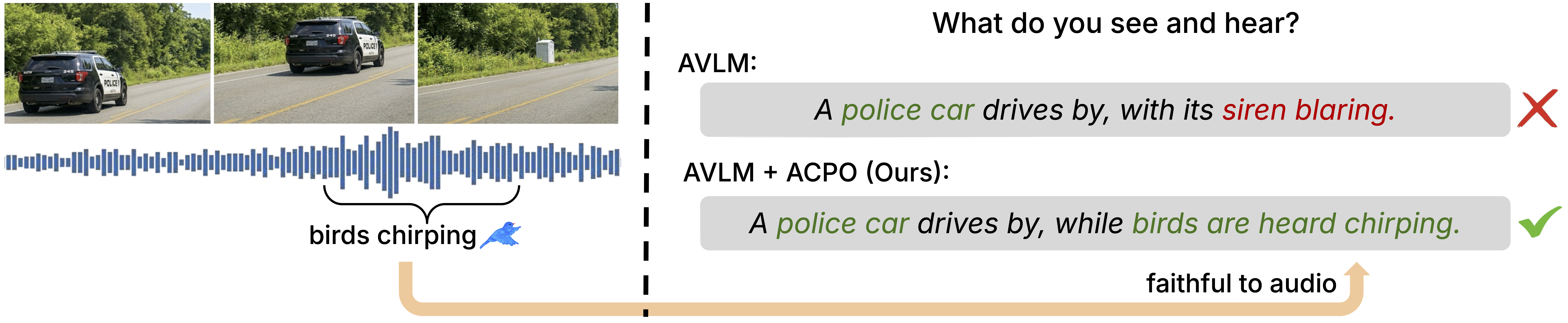 ACPO